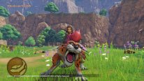 Dragon Quest XI S screenshot (3)