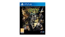 Dragon's Crown Pro PS4 Annonce Occident (6)