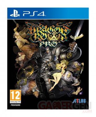 Dragon's Crown Pro PS4 Annonce Occident (6)