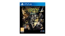 Dragon's Crown Pro PS4 Annonce Occident (7)