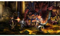 Dragon's Crown Treasure Room