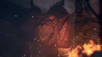 Dragon's Dogma 2 (9)