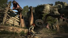 Dragon's-Dogma-Dark-Arisen_25-05-2017_screenshot-2