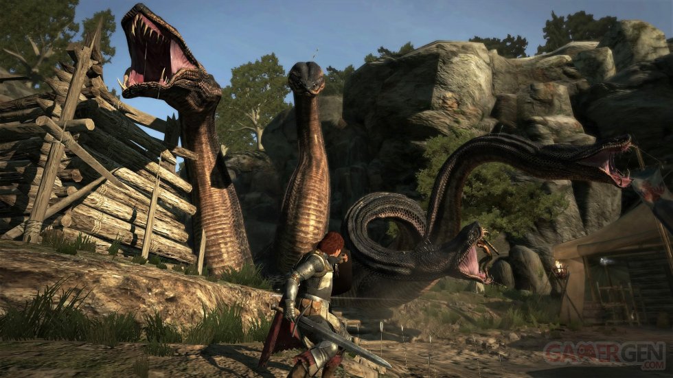 Dragon's-Dogma-Dark-Arisen_25-05-2017_screenshot-2