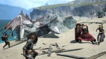 Dragon's Dogma Online monstres images 12