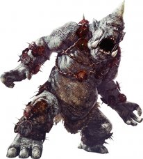 Dragon's Dogma Online monstres images 14