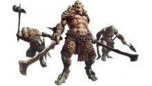 Dragon's Dogma Online monstres images 15