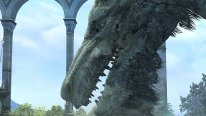 Dragon's Dogma Online monstres images 18