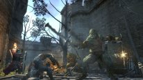 Dragon's Dogma Online monstres images 3