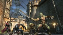 Dragon's Dogma Online monstres images 4