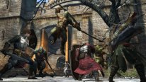 Dragon's Dogma Online monstres images 6
