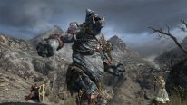 Dragon's Dogma Online monstres images 9