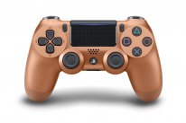 DualShock 4 07 20 08 2018