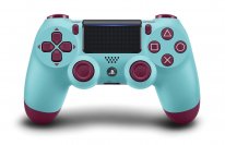 DualShock 4 10 20 08 2018