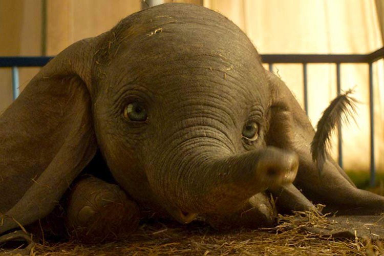Dumbo Critique Avis Impressions cinema film images (3)