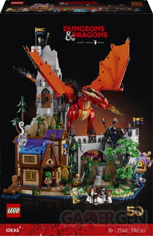 Dungeons & Dragons  l’histoire du dragon rouge LEGO Ideas (4)