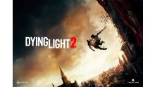 Dying Light 2 Key Visual