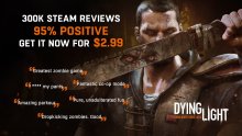 Dying Light Standard Edition visual