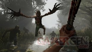Dying Light The Beast image (4)