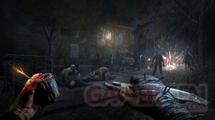 Dying Light The Beast image (8)