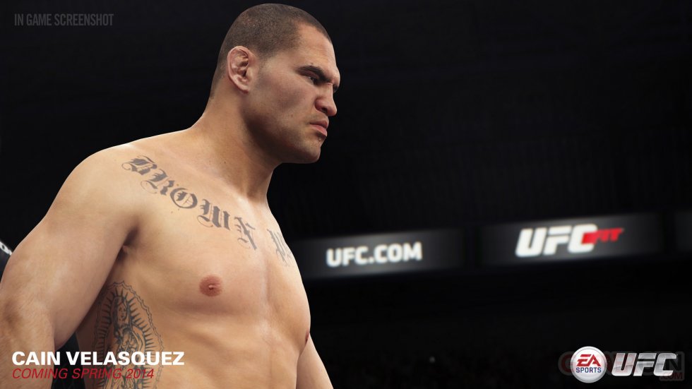 EA-Sports-UFC_07-03-2014_screenshot-4