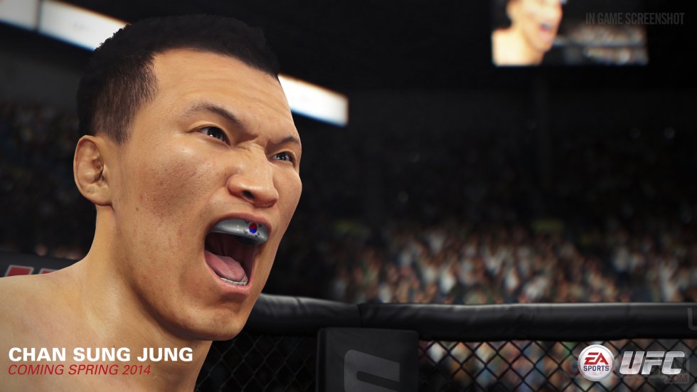 EA-Sports-UFC_17-01-2014_screenshot-2