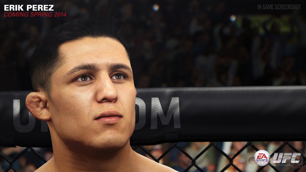 EA-Sports-UFC_26-01-2014_screenshot-2