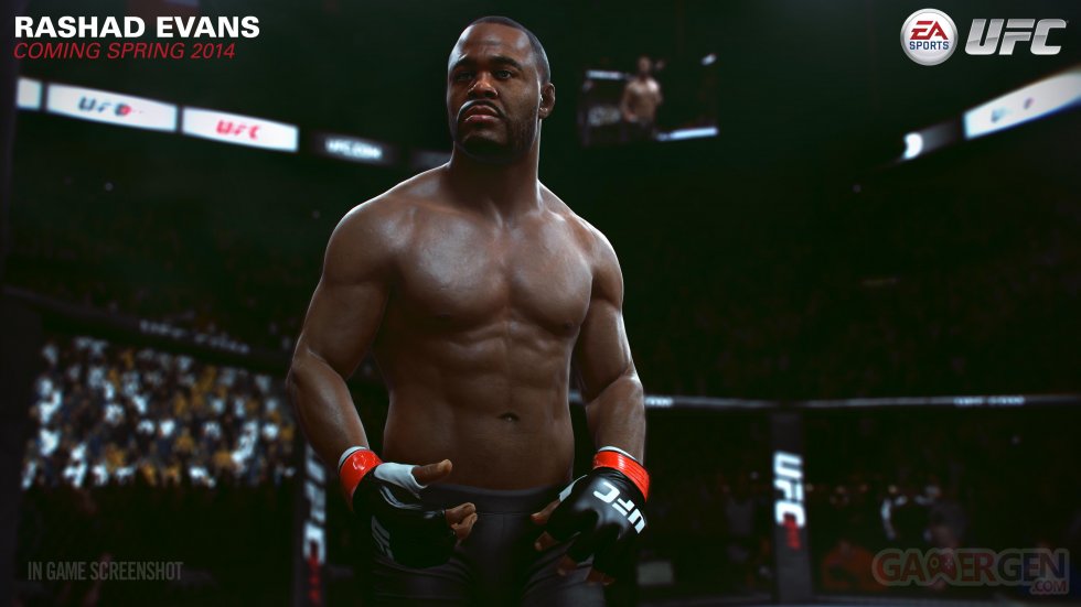 EA-Sports-UFC_décembre-2013_screenshot-2