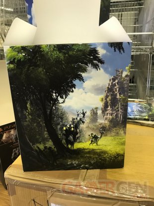 Edition Collector Horizon Zero Dawn images (11)