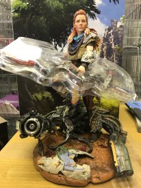 Edition Collector Horizon Zero Dawn images (13)