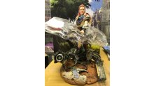 Edition Collector Horizon Zero Dawn images (13)