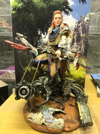 Edition Collector Horizon Zero Dawn images (14)