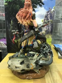 Edition Collector Horizon Zero Dawn images (15)