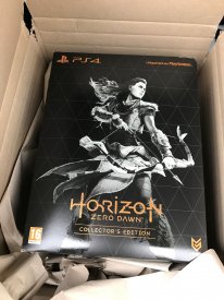 Edition Collector Horizon Zero Dawn images (1)