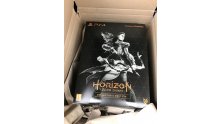 Edition Collector Horizon Zero Dawn images (1)