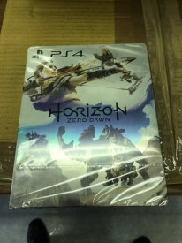 Edition Collector Horizon Zero Dawn images (2)