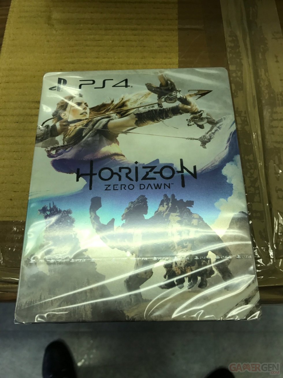 Edition Collector Horizon Zero Dawn images (2)