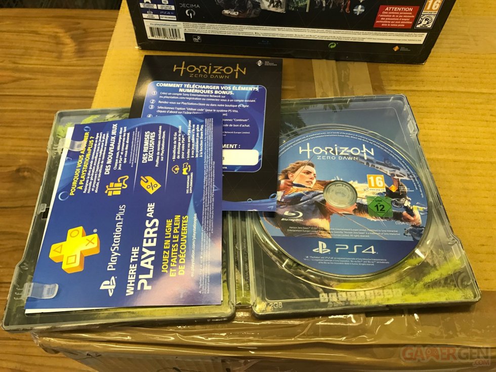 Edition Collector Horizon Zero Dawn images (3)