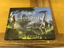 Edition Collector Horizon Zero Dawn images (4)