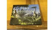 Edition Collector Horizon Zero Dawn images (4)