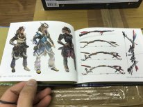 Edition Collector Horizon Zero Dawn images (6)