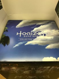 Edition Collector Horizon Zero Dawn images (7)