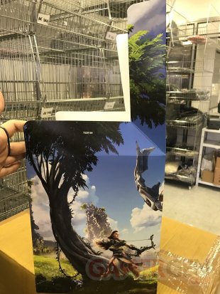 Edition Collector Horizon Zero Dawn images (8)