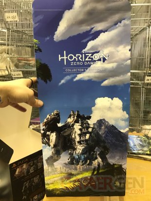 Edition Collector Horizon Zero Dawn images (9)