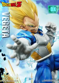 Edition DX Mega Premium Masterline Dragon Ball Z Super Saiyan Vegeta images (32)