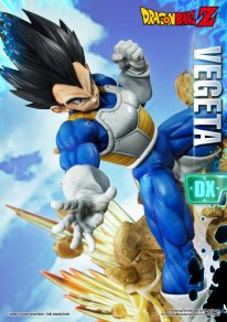 Edition DX Mega Premium Masterline Dragon Ball Z Super Saiyan Vegeta images (36)