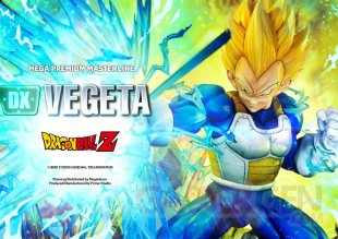 Edition DX Mega Premium Masterline Dragon Ball Z Super Saiyan Vegeta images (37)