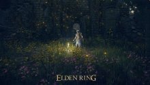 Elden-Ring_16-10-2021_screenshot-2