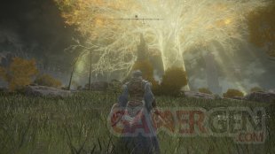 Elden Ring ROG Ally Z1 Extreme Test 720p