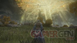 Elden Ring ROG Ally Z1 Extreme Test 900p